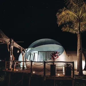  Campo de lujo Land Bubble Glamping By Mint