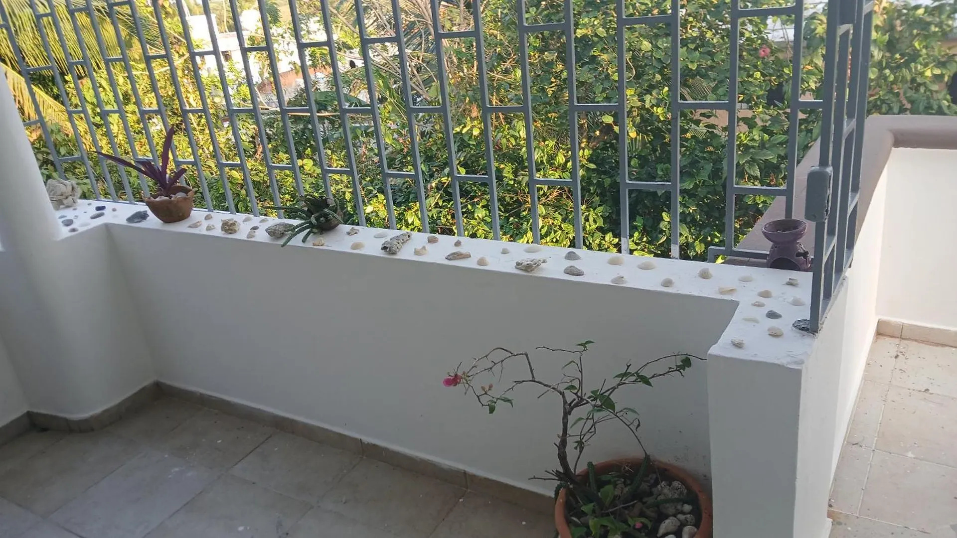 Kassuky Home Καμπαρέτε