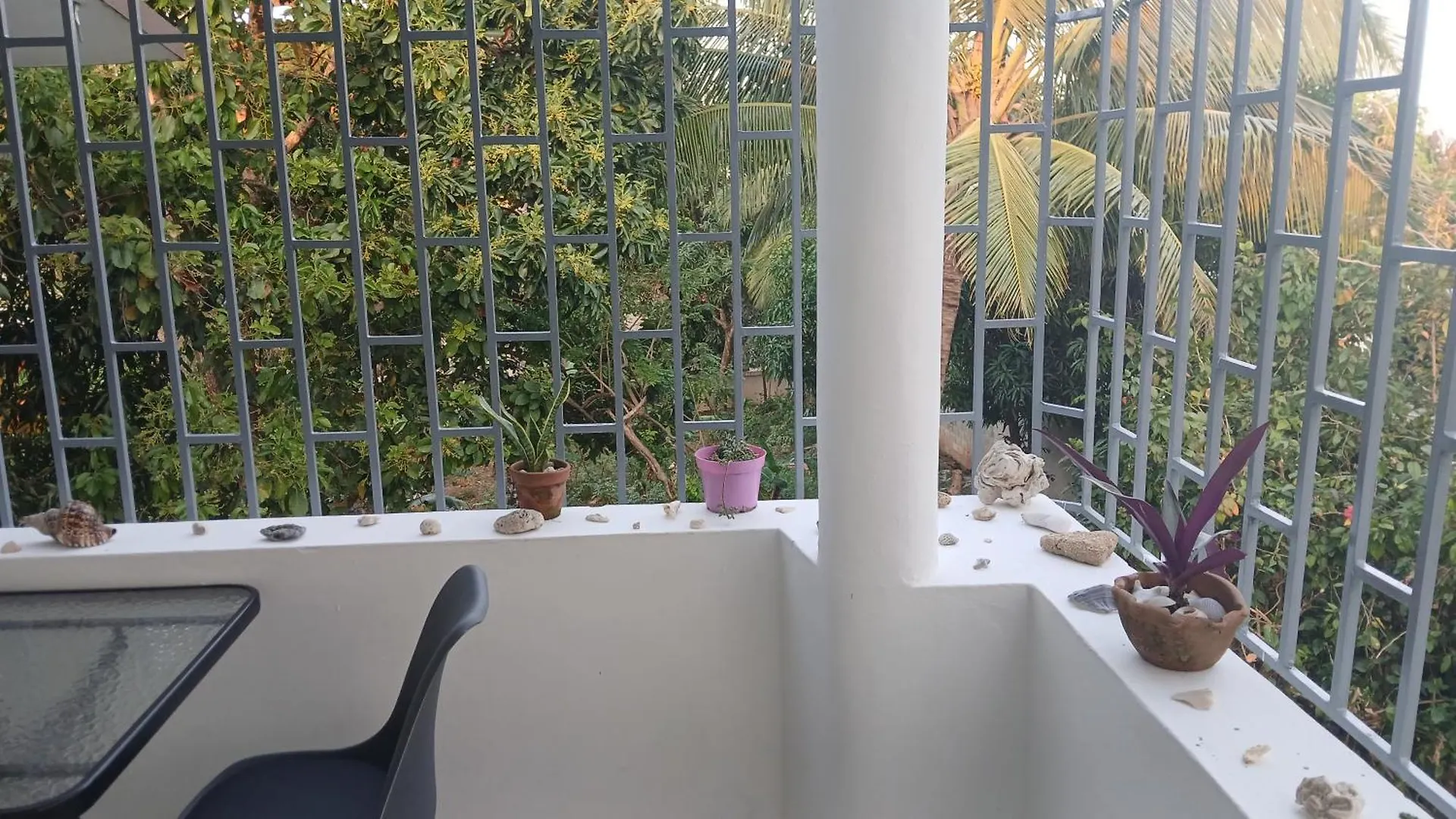 Kassuky Home Καμπαρέτε 0*,  Δομινικανή Δημοκρατία